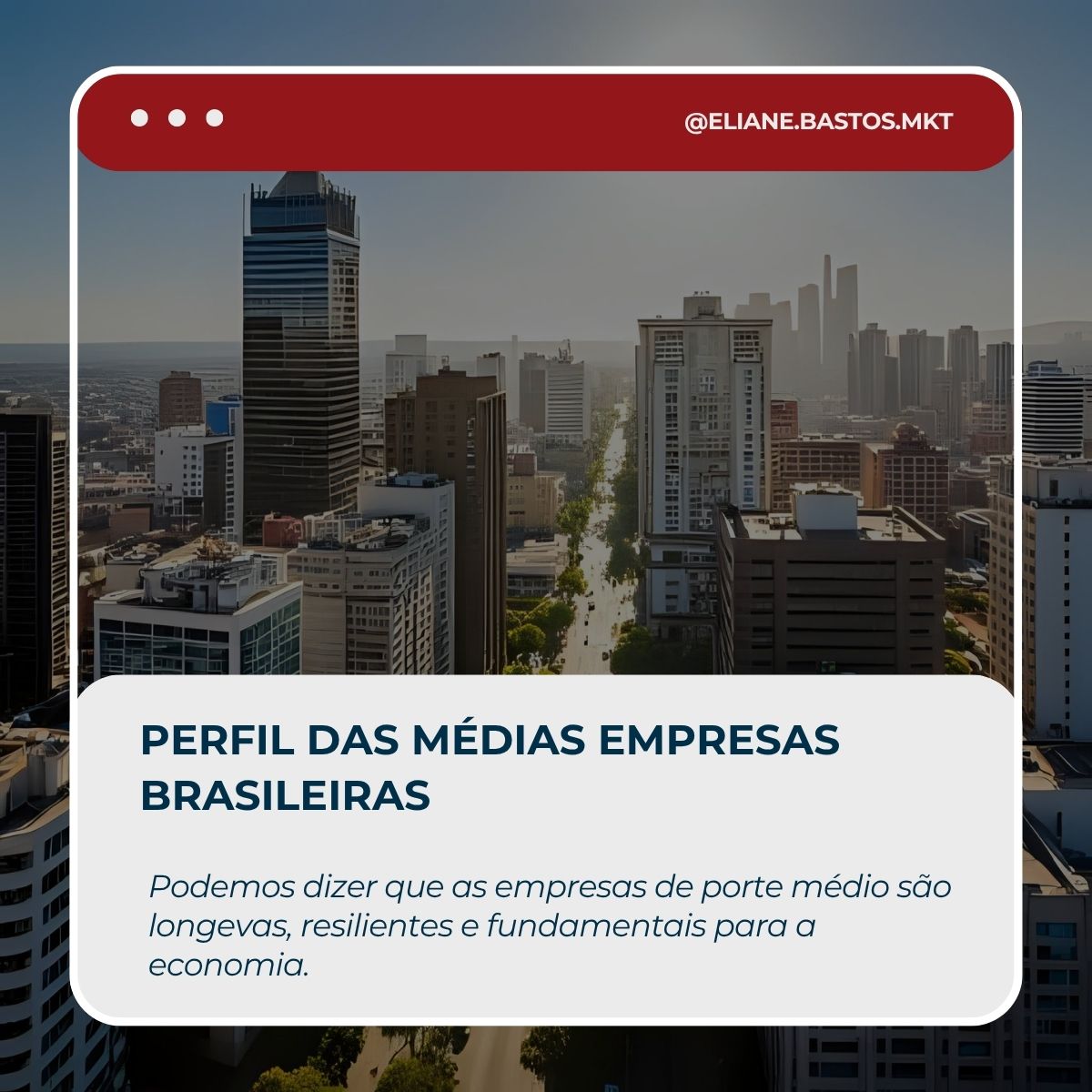 Perfil medias empresas brasileiras